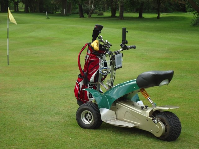 fairway golf buggy